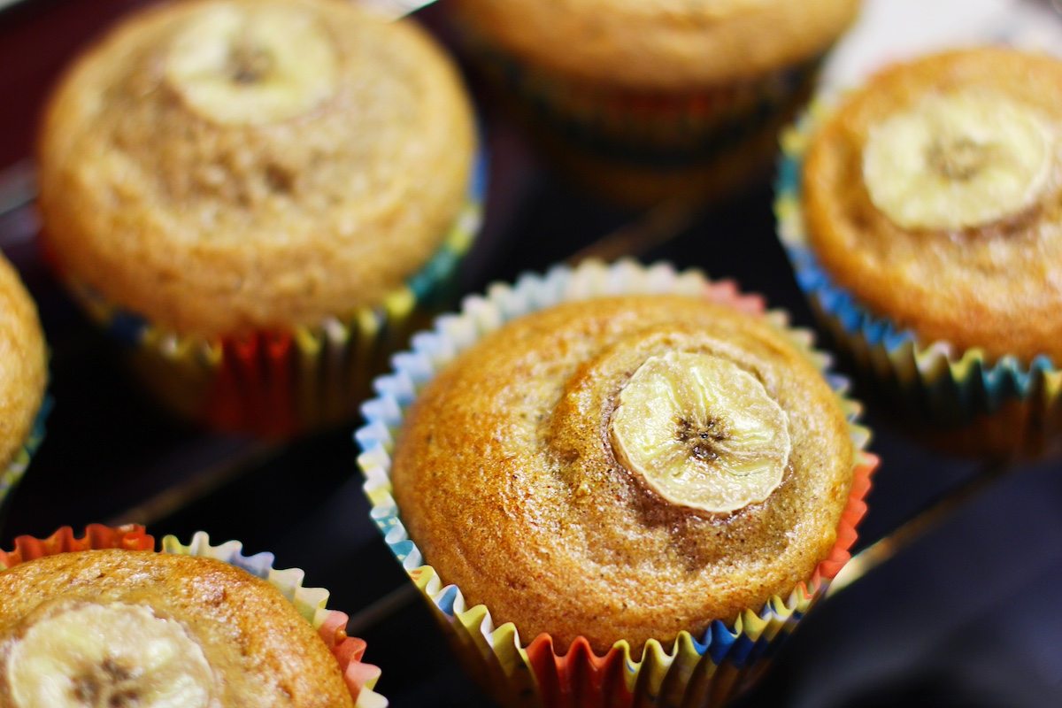 Muffins de proteína de grillo y plátano